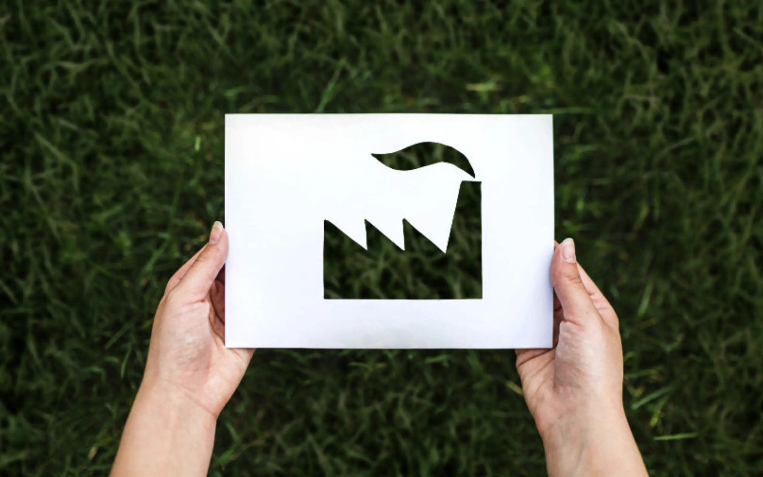 Build-Sustainability-From-the-Ground-Up